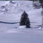 Winterlandschaft 1