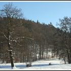 Winterlandschaft 1