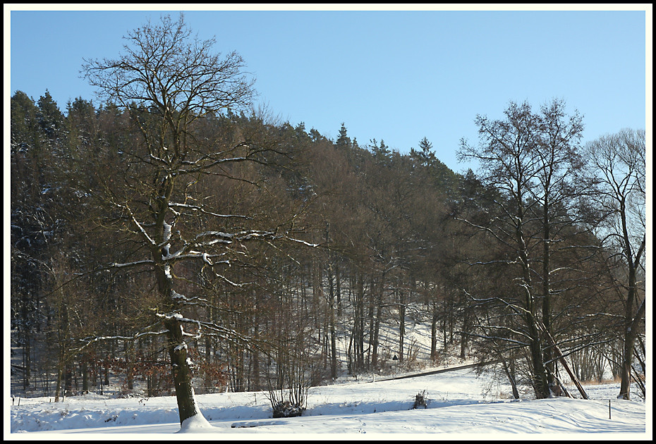 Winterlandschaft 1