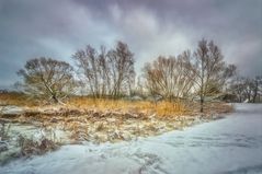 Winterlandschaft  (10)