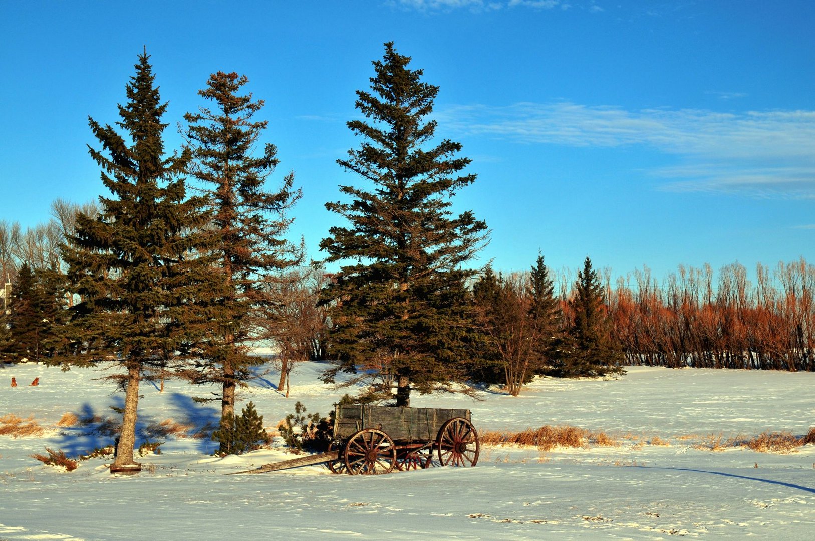 Winterlandschaft 10