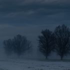 Winterlandschaft (10)