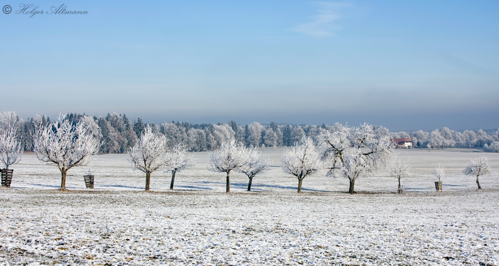 Winterlandschaft (10)