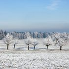 Winterlandschaft (10)