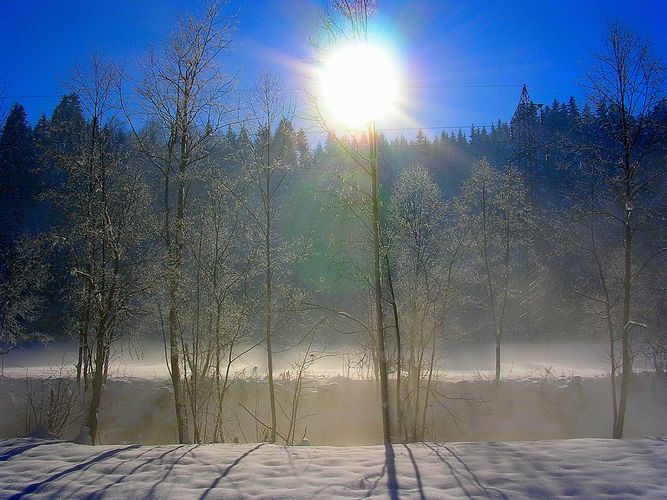 Winterlandschaft