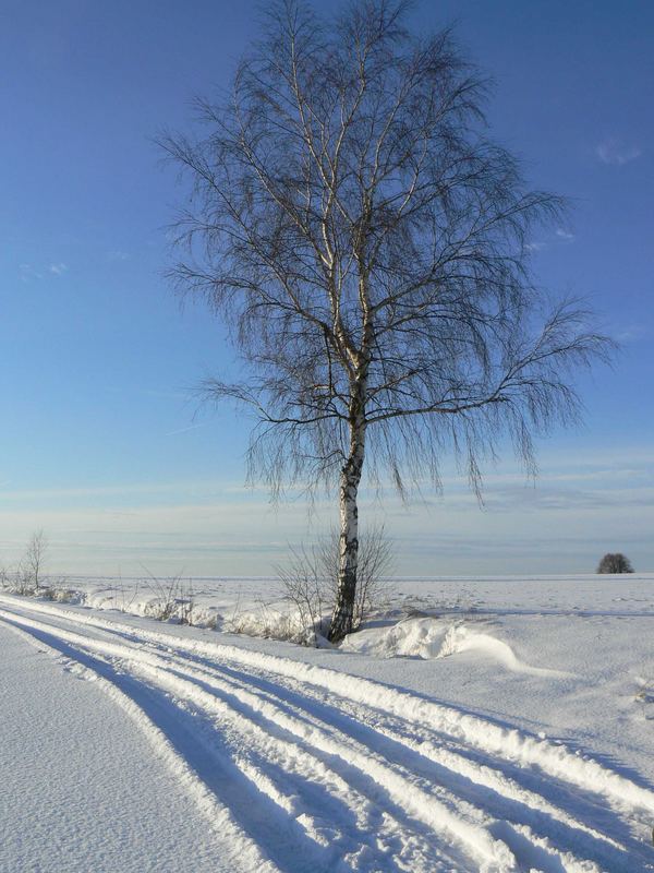 Winterlandschaft