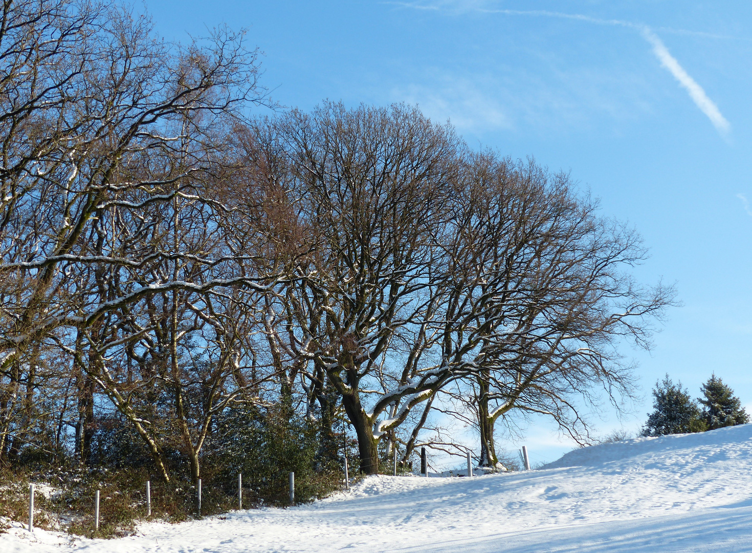 Winterlandschaft