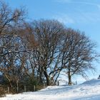 Winterlandschaft