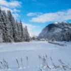 Winterlandschaft 