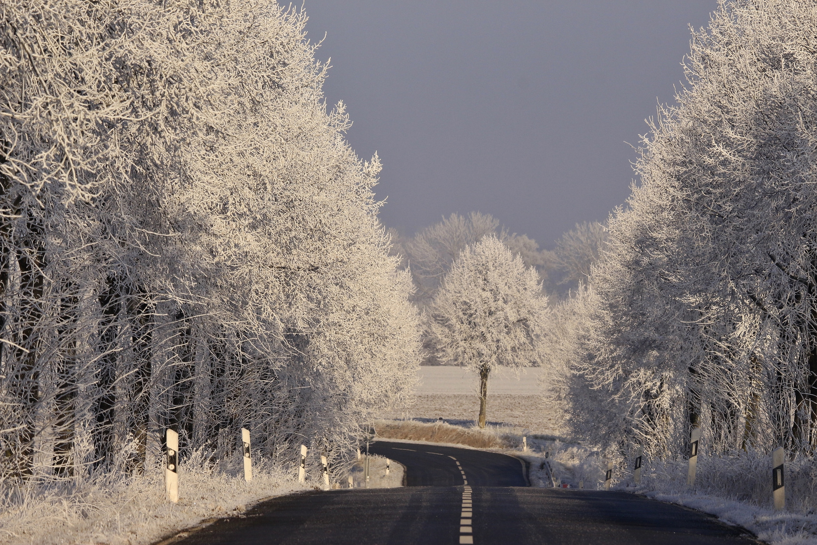 Winterlandschaft 116