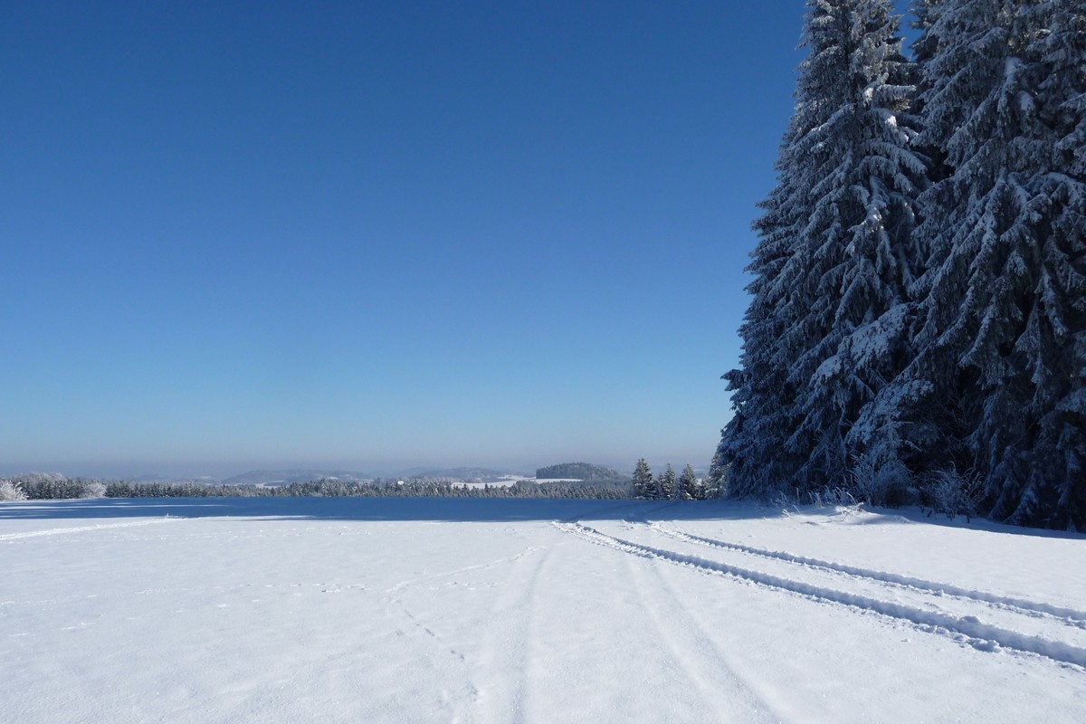 Winterlandschaft