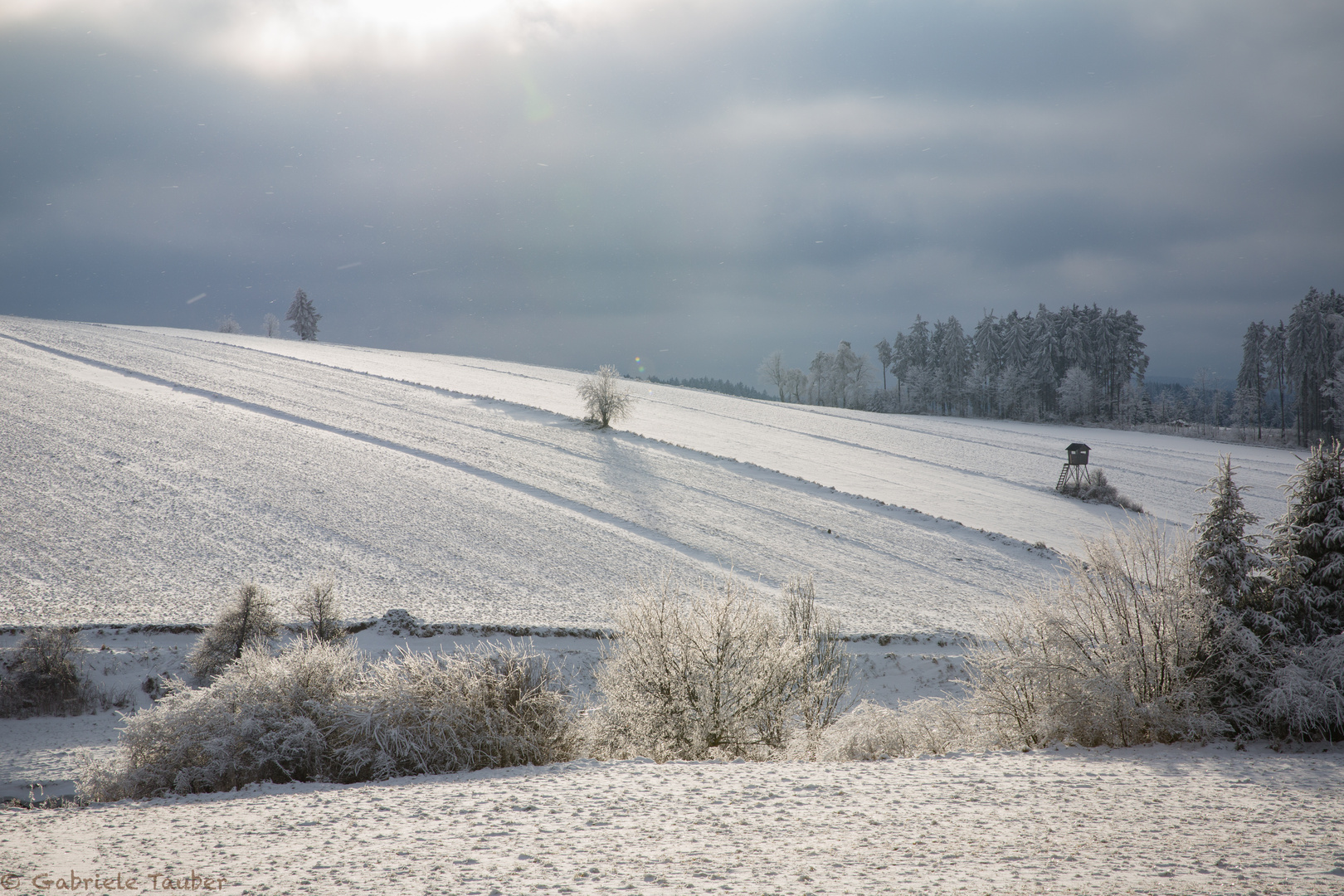 Winterlandschaft