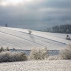 Winterlandschaft