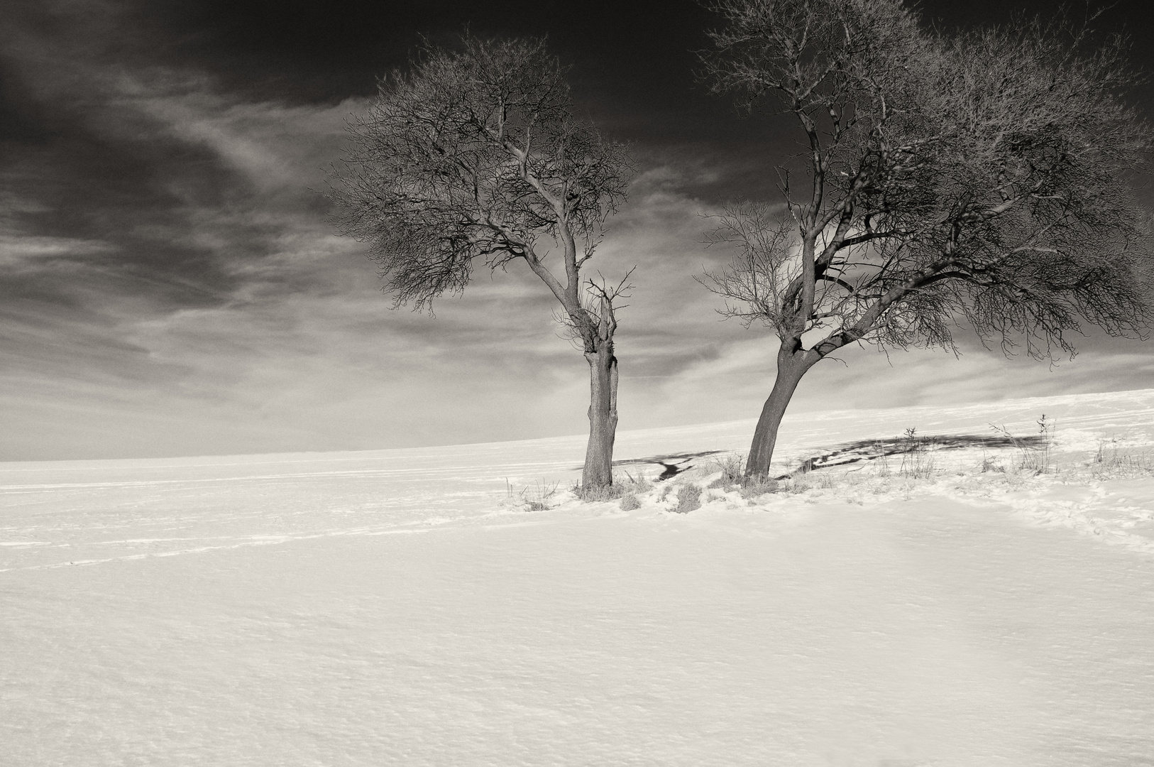 Winterlandschaft