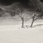 Winterlandschaft