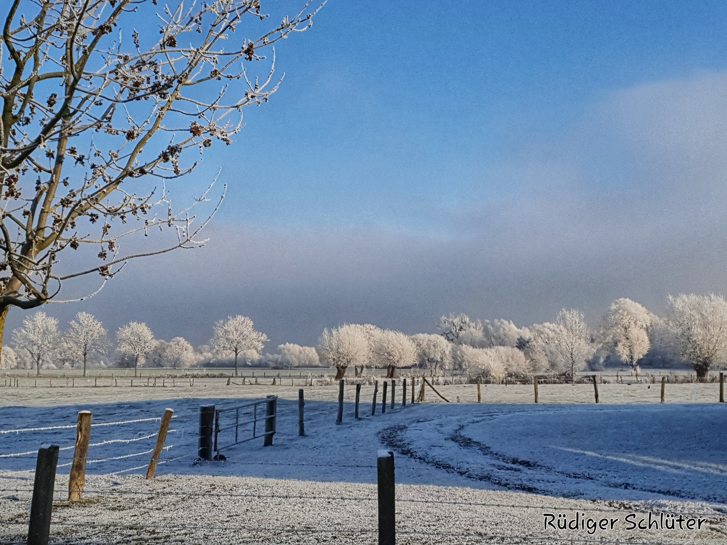 Winterlandschaft