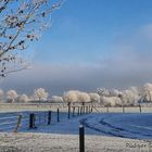 Winterlandschaft