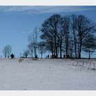 Winterlandschaft