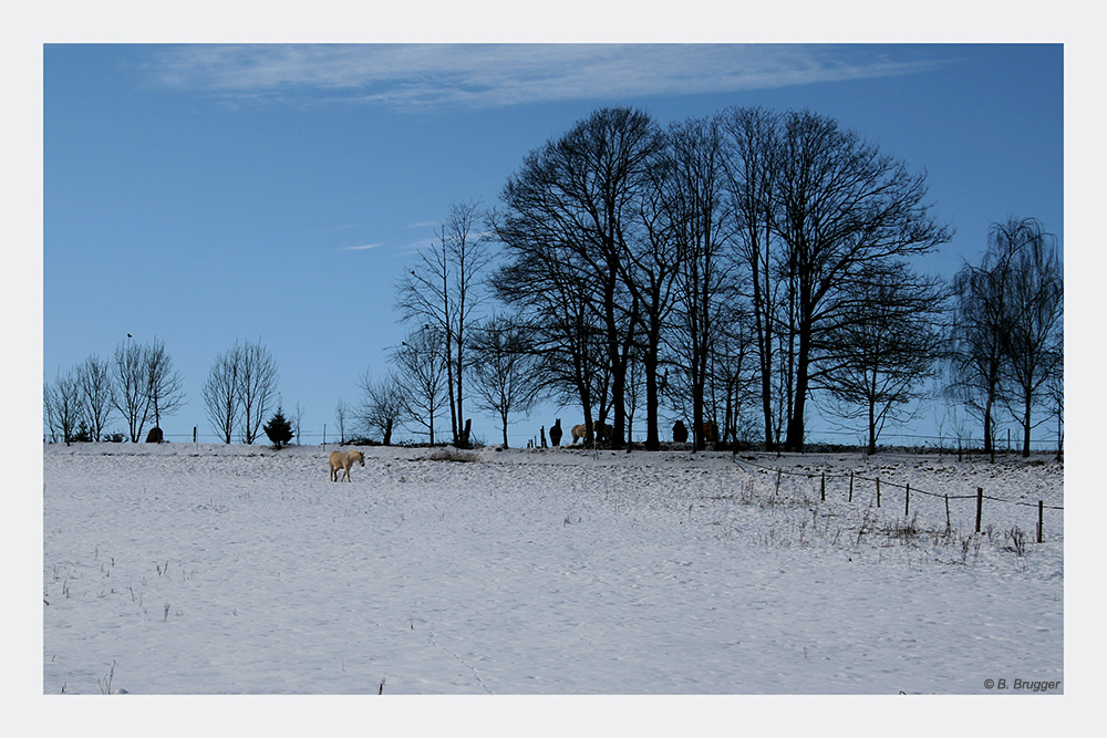 Winterlandschaft