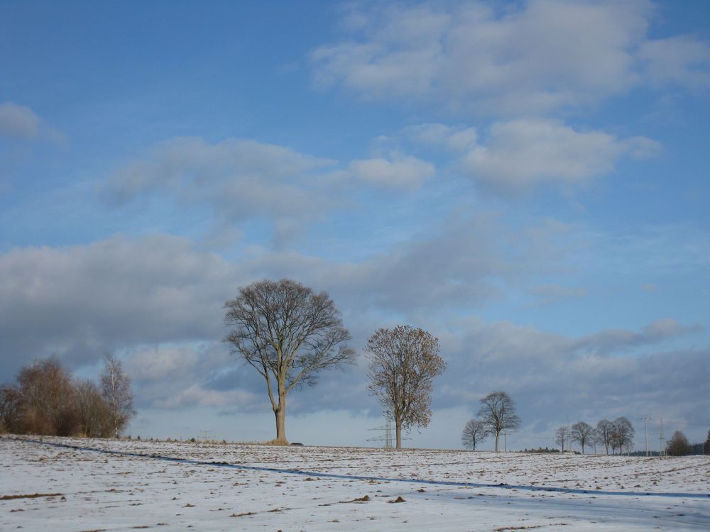 Winterlandschaft