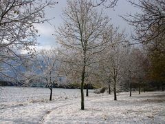 Winterlandschaft