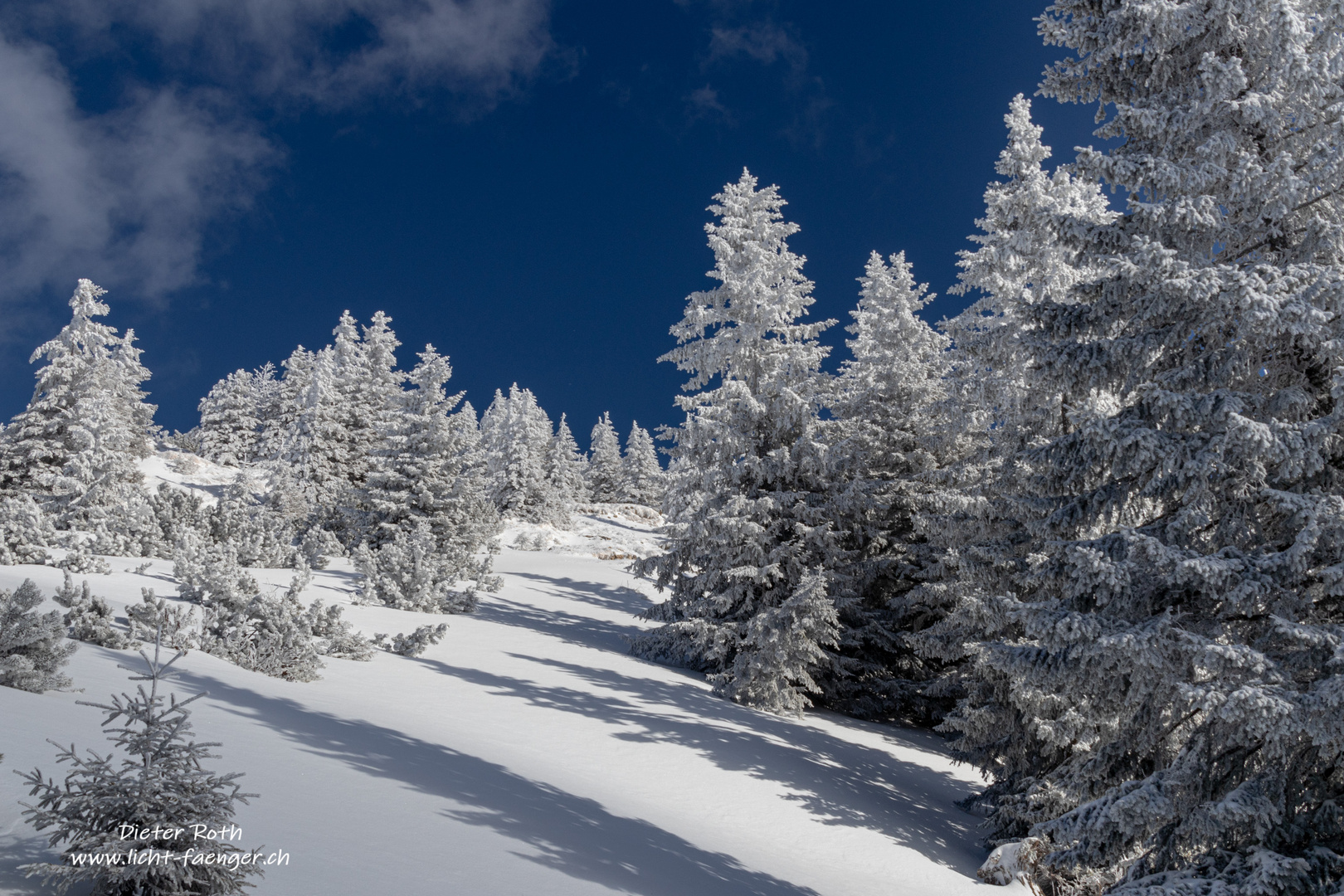 Winterlandschaft