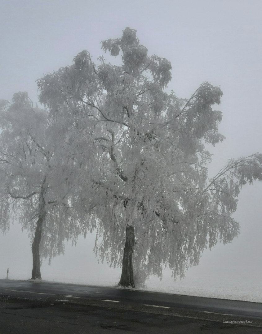 Winterlandschaft 