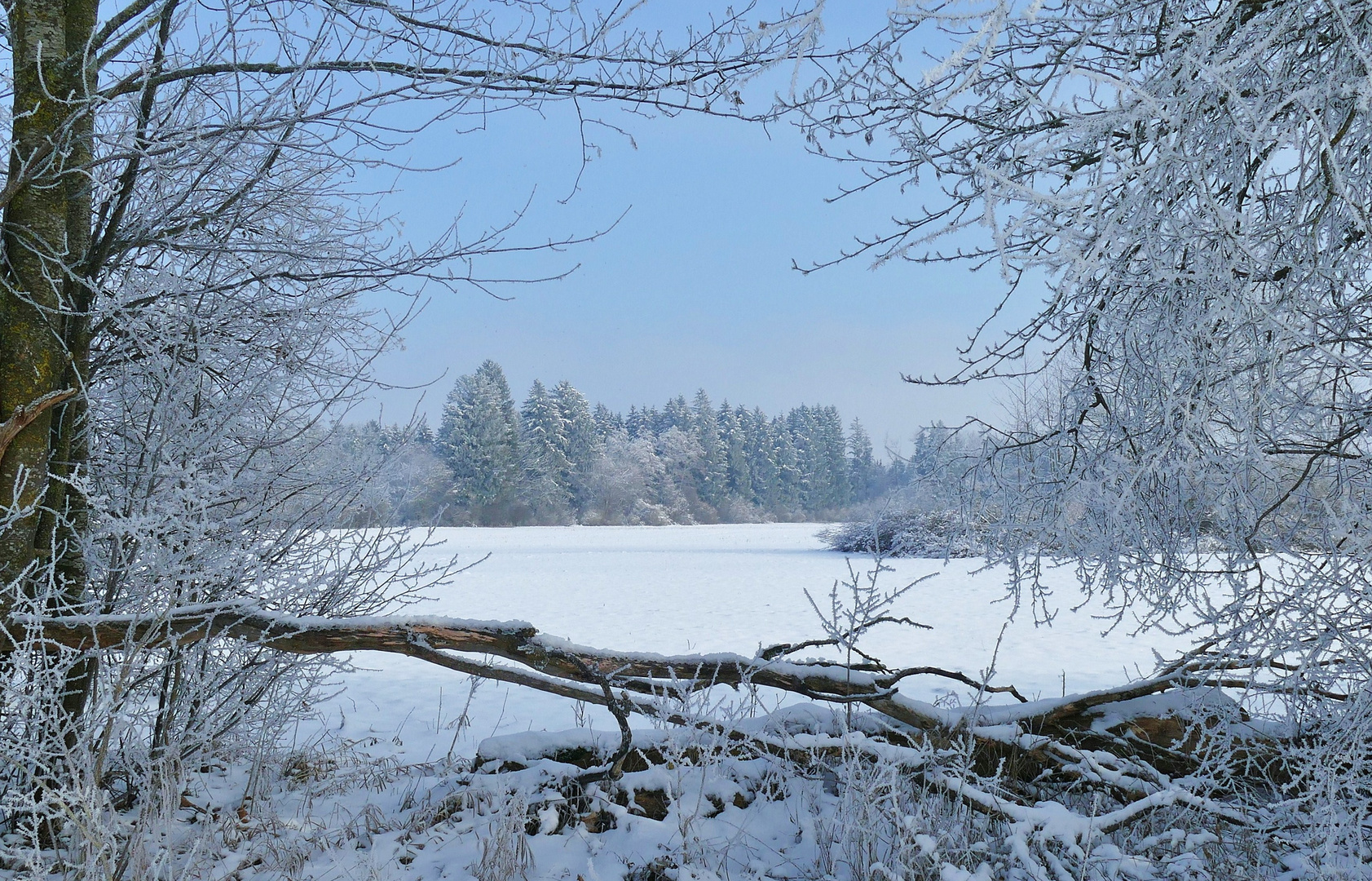 Winterlandschaft