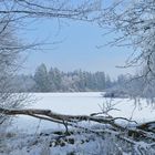 Winterlandschaft