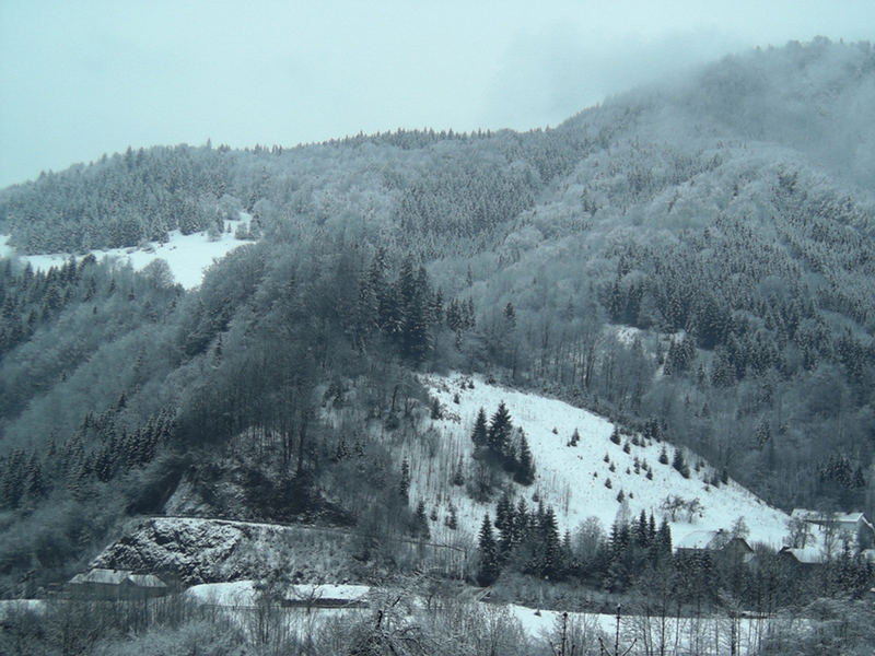 Winterlandschaft