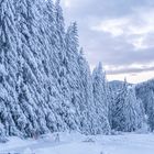 Winterlandschaft