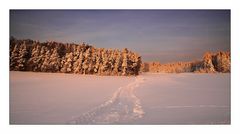 Winterlandschaft