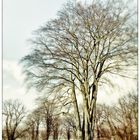 Winterlandschaft