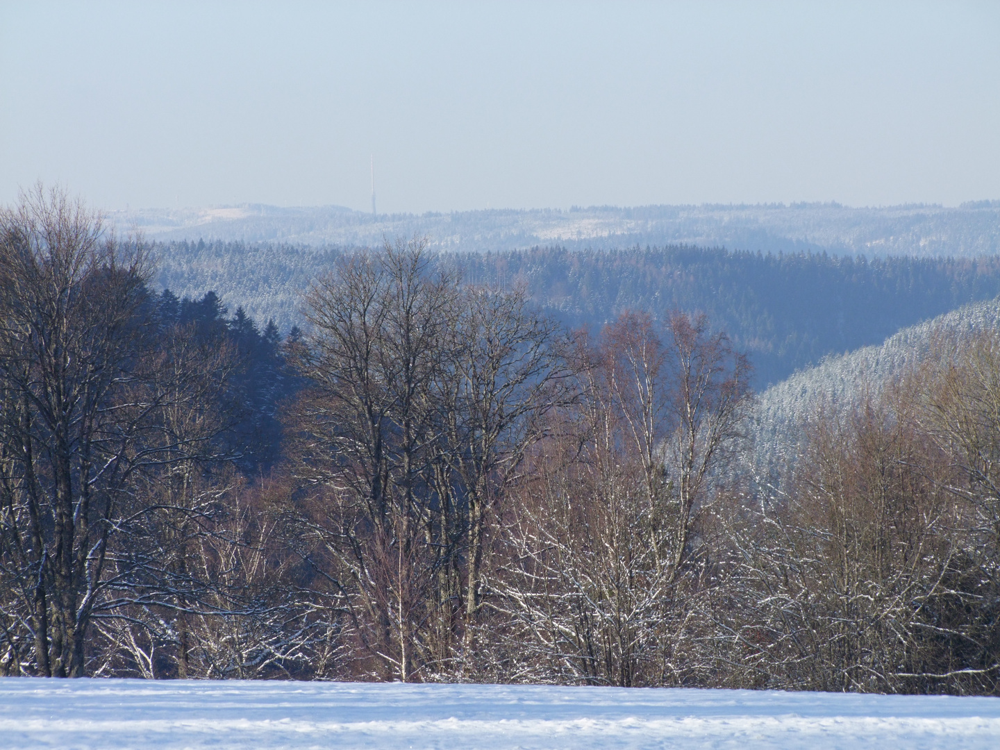 Winterlandschaft