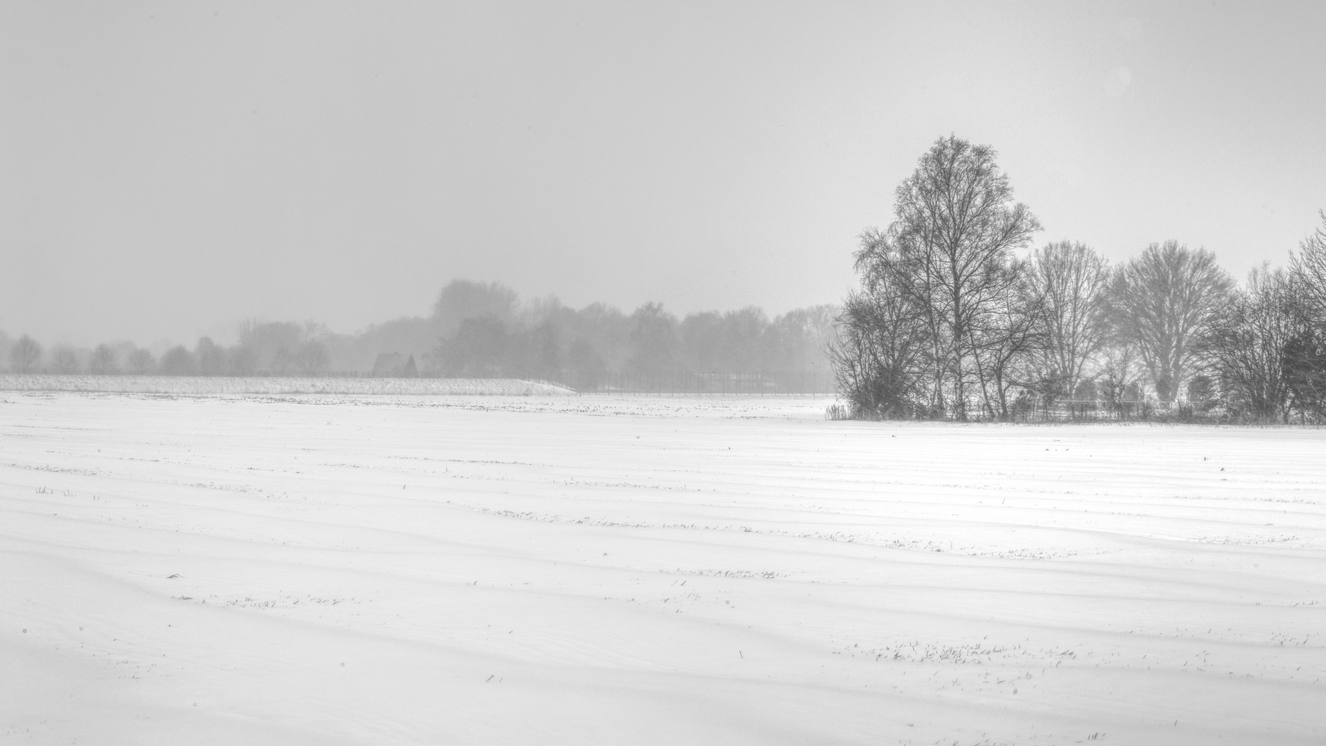 *** Winterlandschaft ***