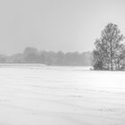 *** Winterlandschaft ***