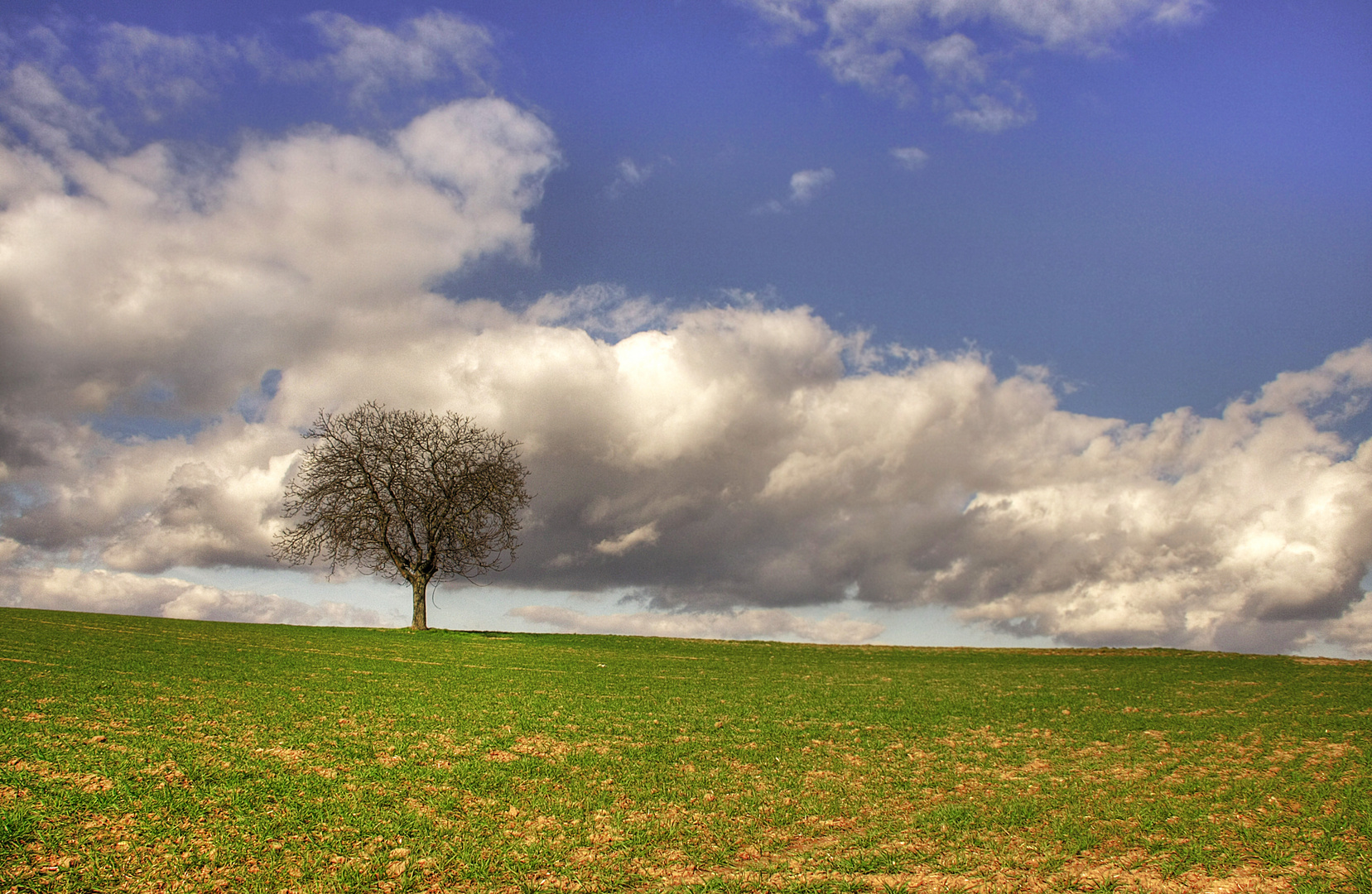 Winterlandschaft