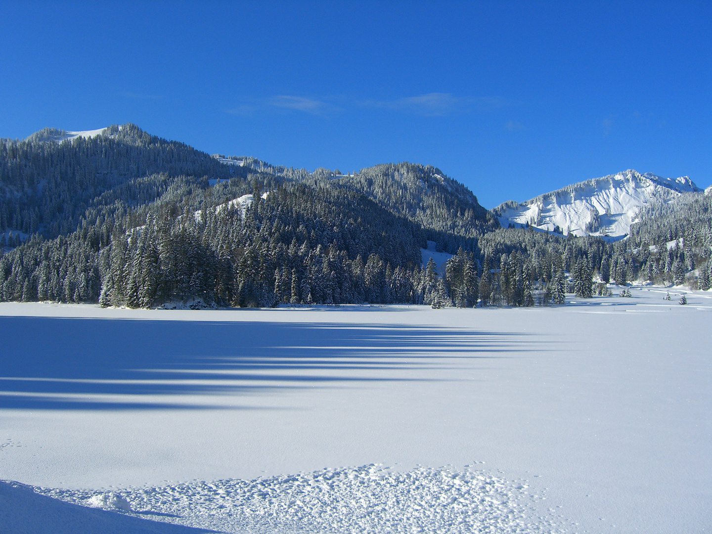 Winterlandschaft