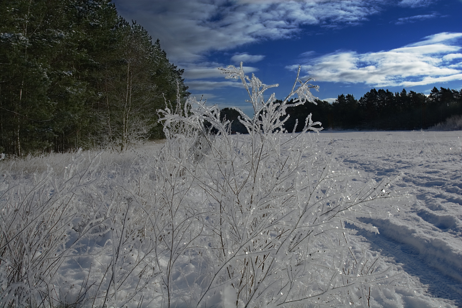 Winterlandschaft 