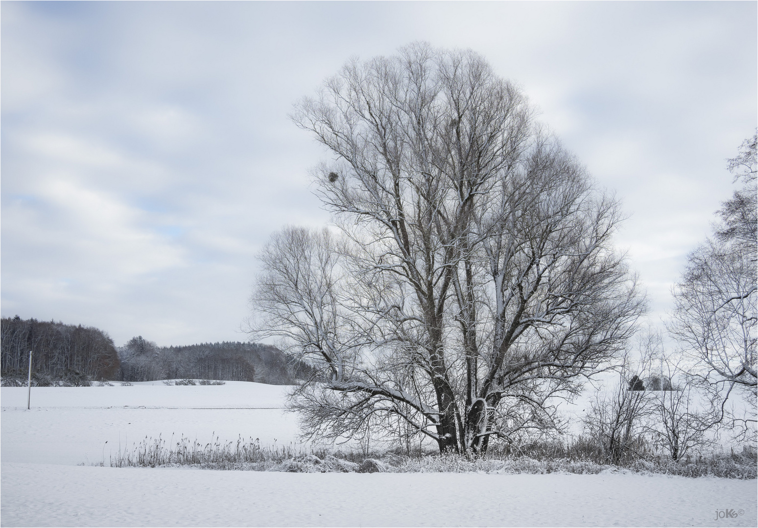 Winterlandschaft