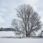 Winterlandschaft