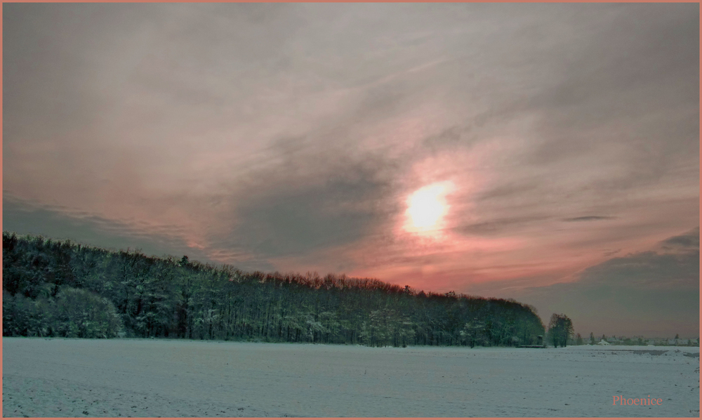 Winterlandschaft