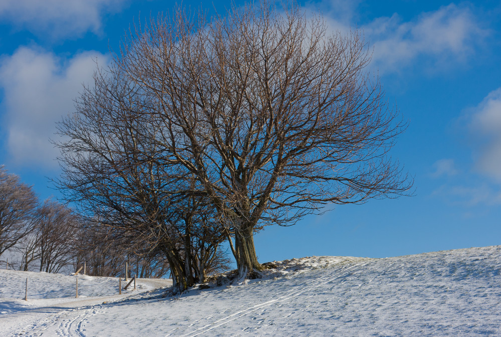 Winterlandschaft