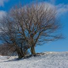 Winterlandschaft