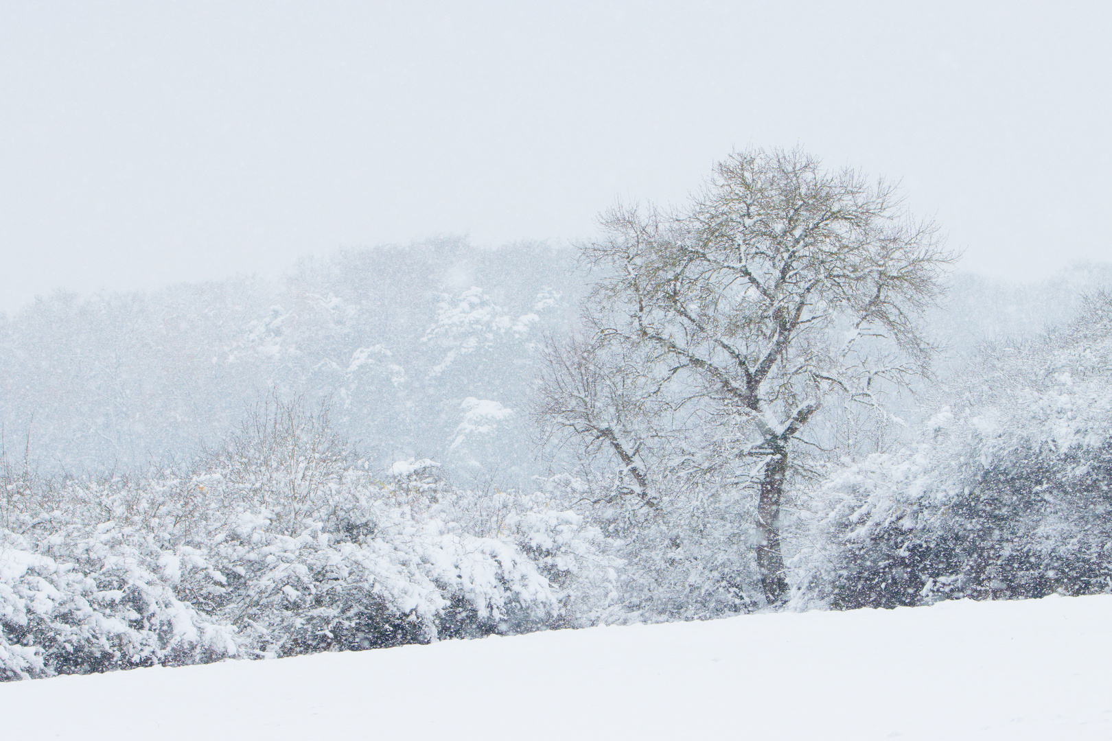 Winterlandschaft 