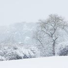 Winterlandschaft 