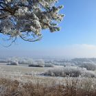 Winterlandschaft