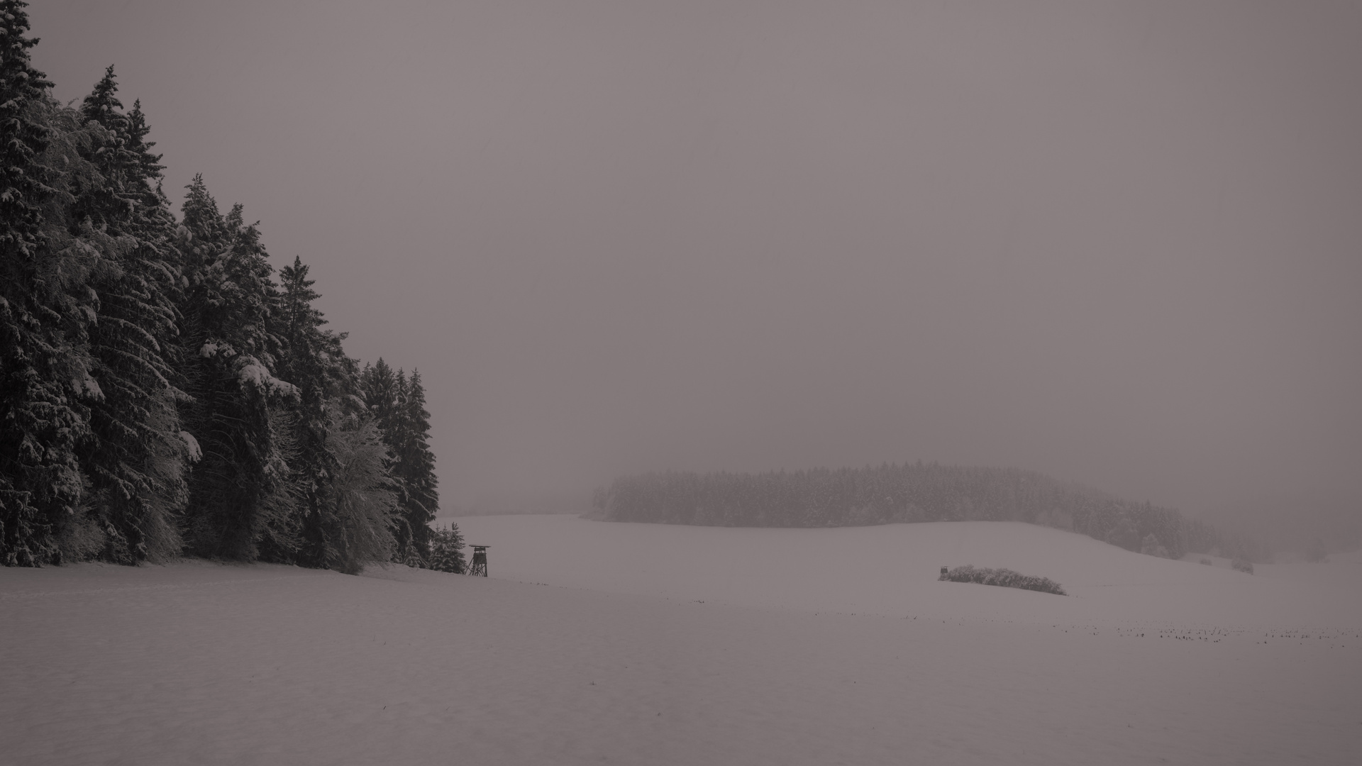 Winterlandschaft