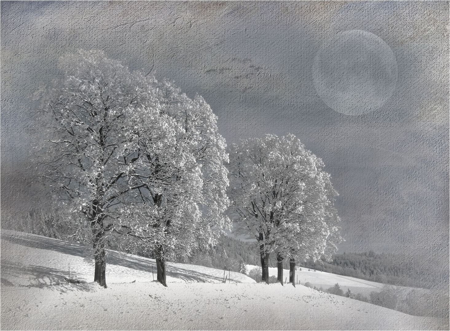 Winterlandschaft...