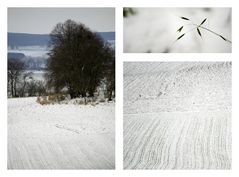 Winterlandschaft